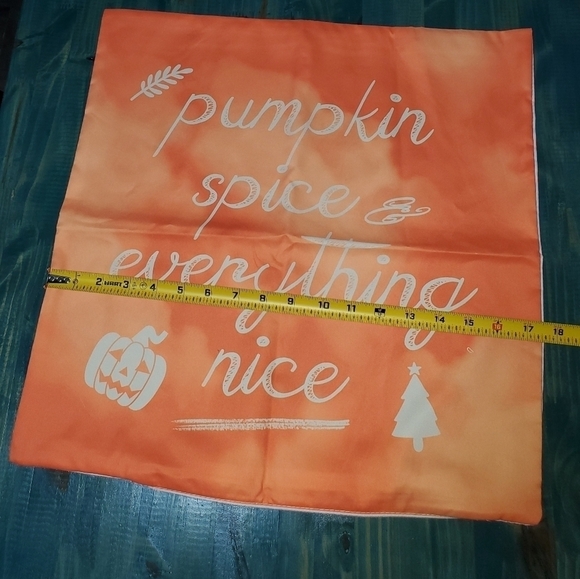 Pumpkin Spice & Everything Nice Accent Pillow Cover New - Picture 2 of 3